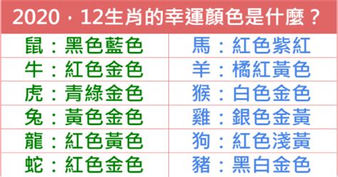 2024生肖幸運色|2024龍年生肖開運秘訣！幸運色、幸運數字、招財方位公開，立。